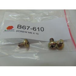 SCREW M6xM10 B67-610