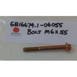 BOLT M6x55 GB16674.1-06055